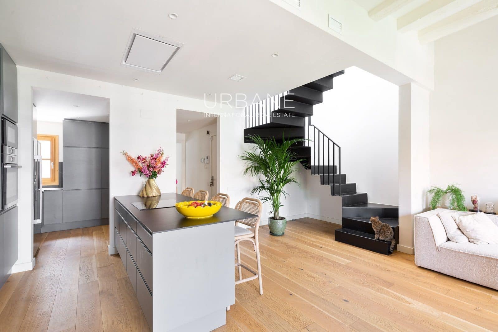 2 bedroom Penthouse for rent in Barcelona city - € 3,800 (Ref: 9918785)