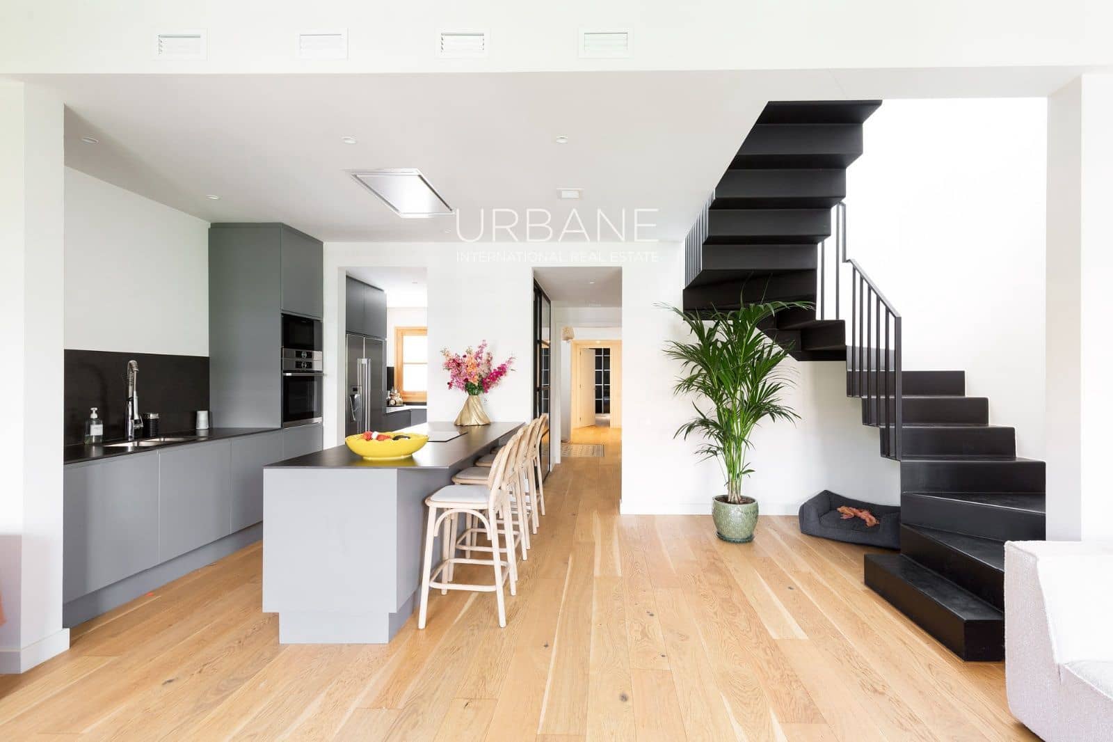 2 bedroom Penthouse for rent in Barcelona city - € 3,800 (Ref: 9918785)