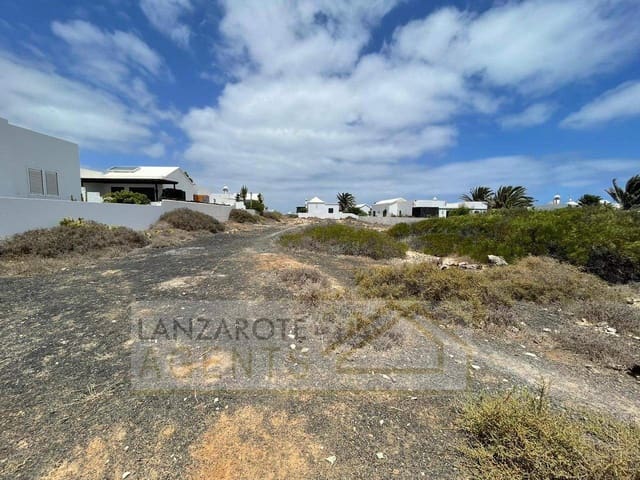 Grond te koop in Palomar, Puente Genil - € 189.000 (Ref: 7958021)