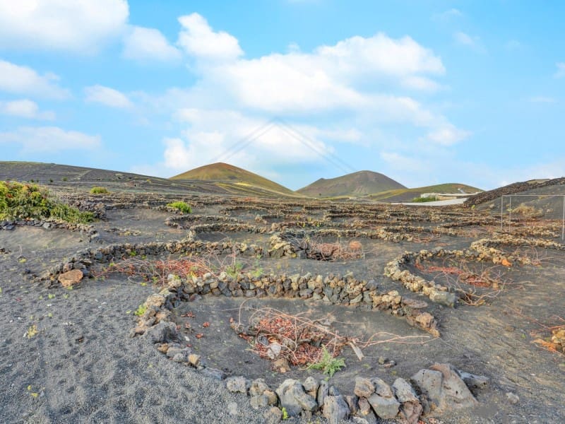 2 soverom Finca/Herregård til salgs i Tinajo - € 380 000 (Ref: 9679785)