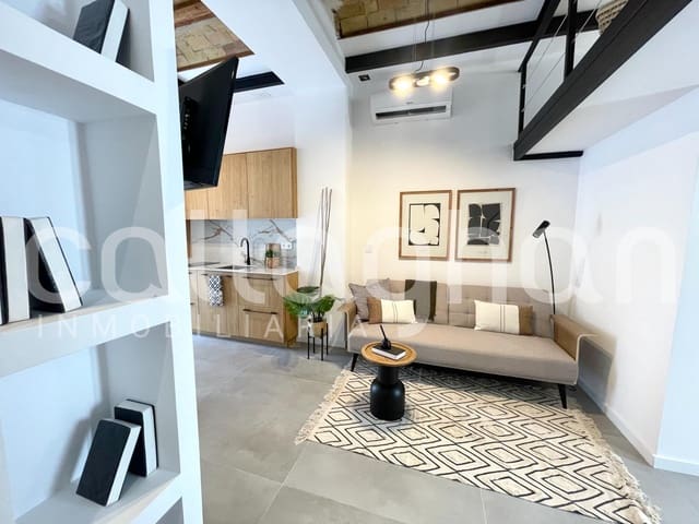 Loft de 1 chambre à louer à Mont-Olivet, Valence ville - 1 100 € (Ref: 9127321)