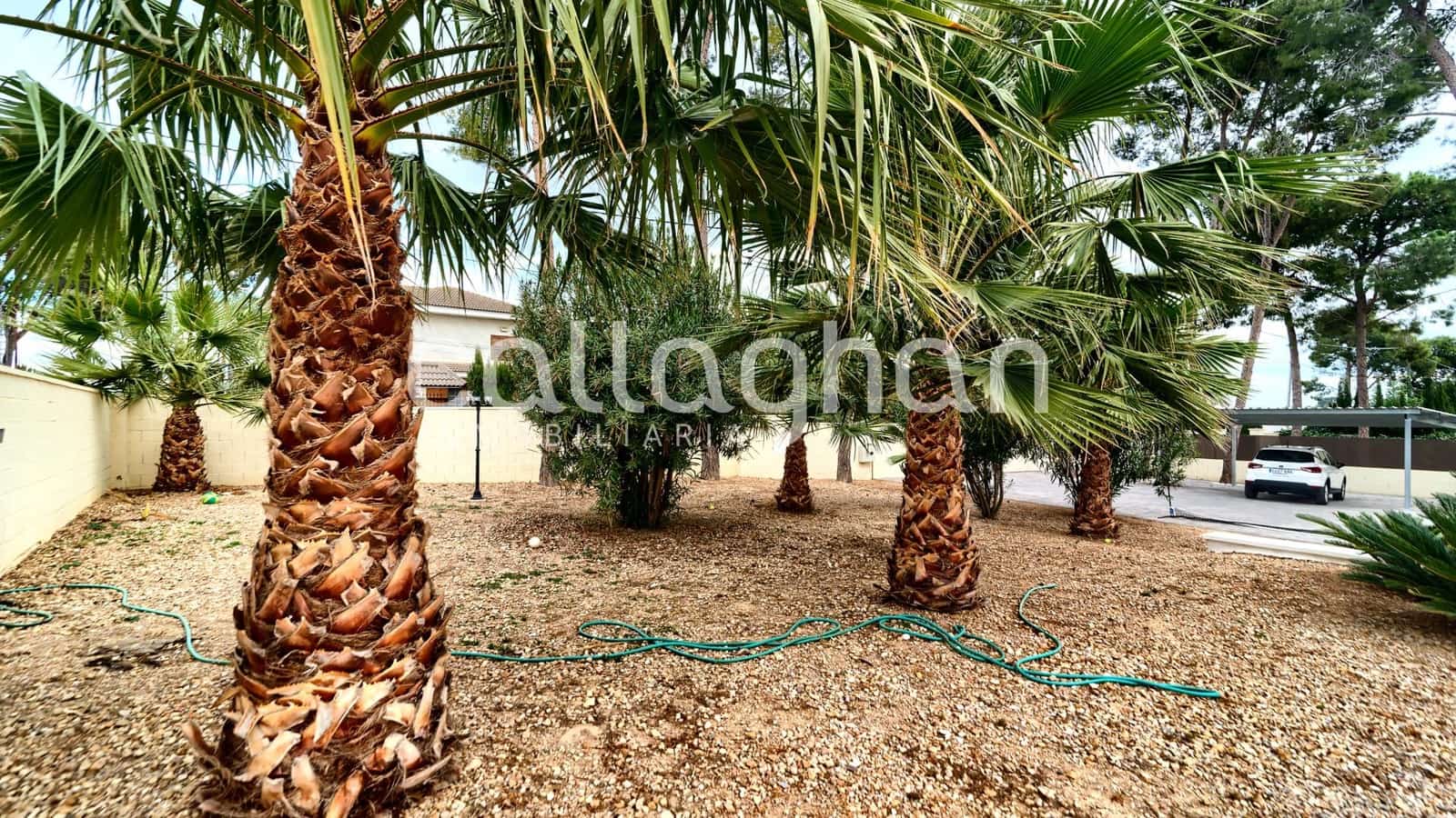 Terrain à Bâtir à vendre à El Plantio - 215 000 € (Ref: 9446617)