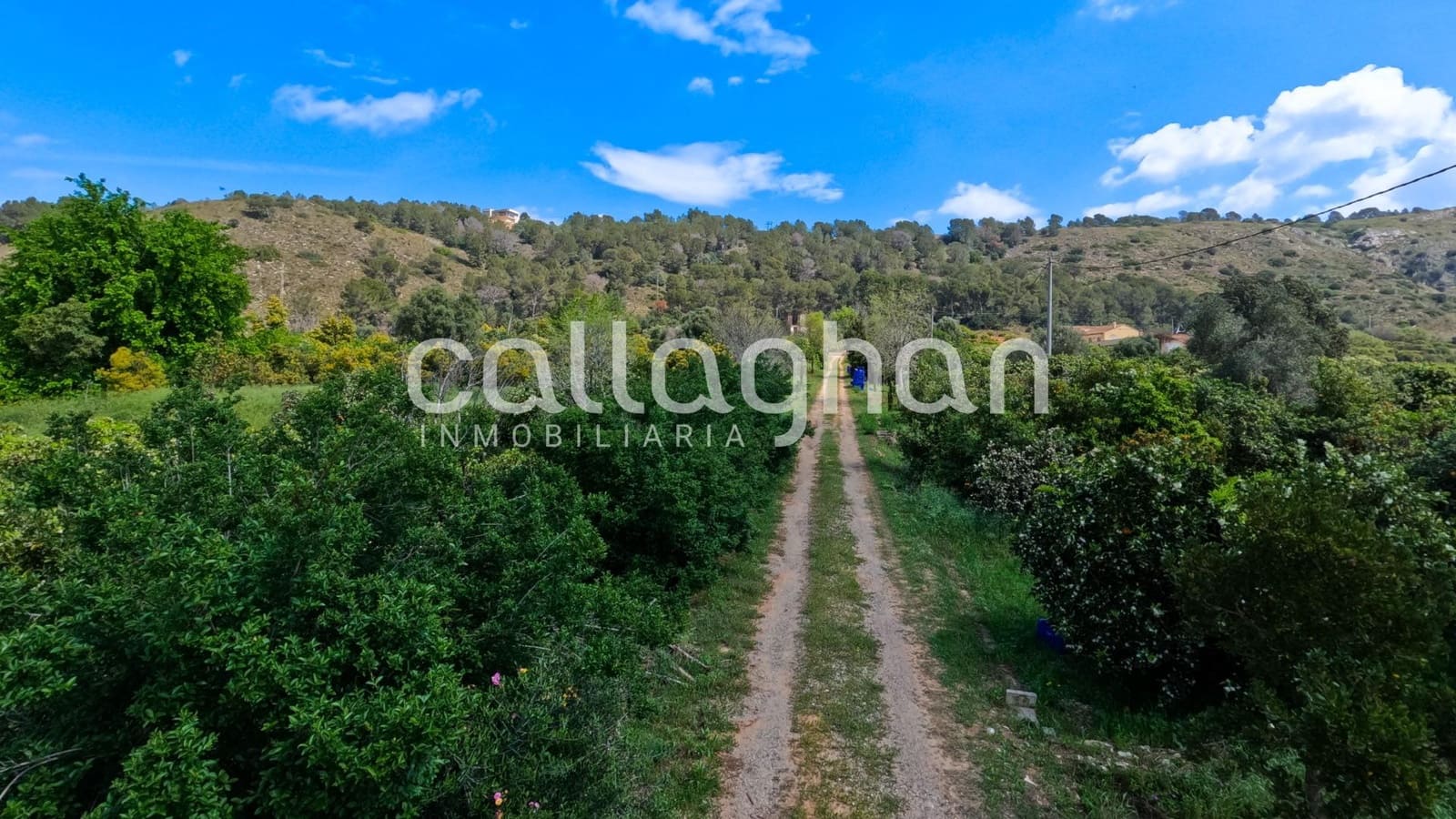 Chalet de 4 habitaciones en Alzira en venta con piscina garaje - 900.000 € (Ref: 9474301)