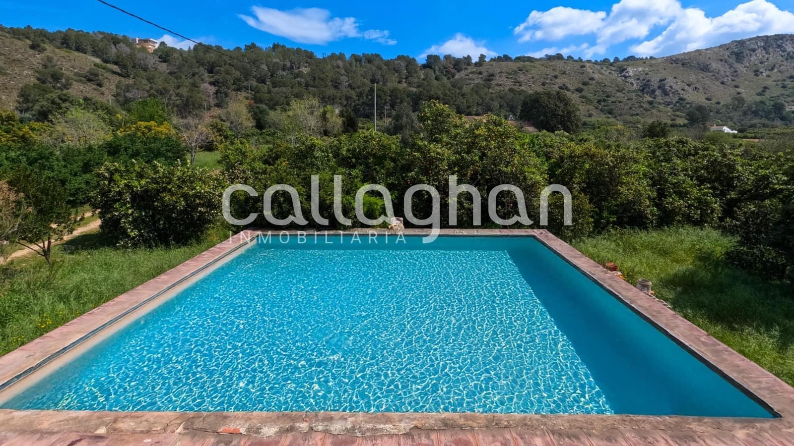 Chalet de 4 habitaciones en Alzira en venta con piscina garaje - 900.000 € (Ref: 9474301)