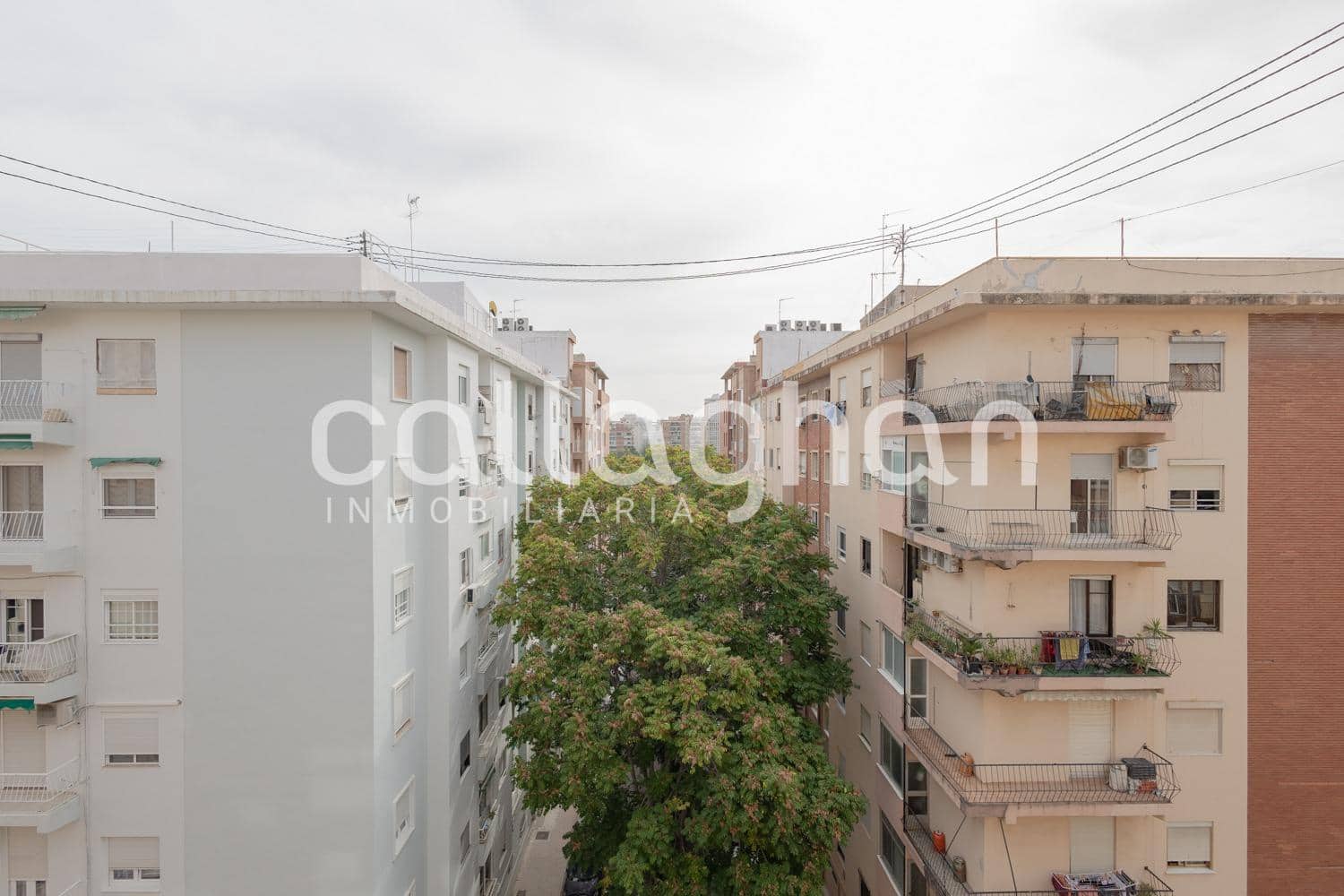 2 bedroom Flat for rent in Valencia city - € 1,300 (Ref: 9509197)