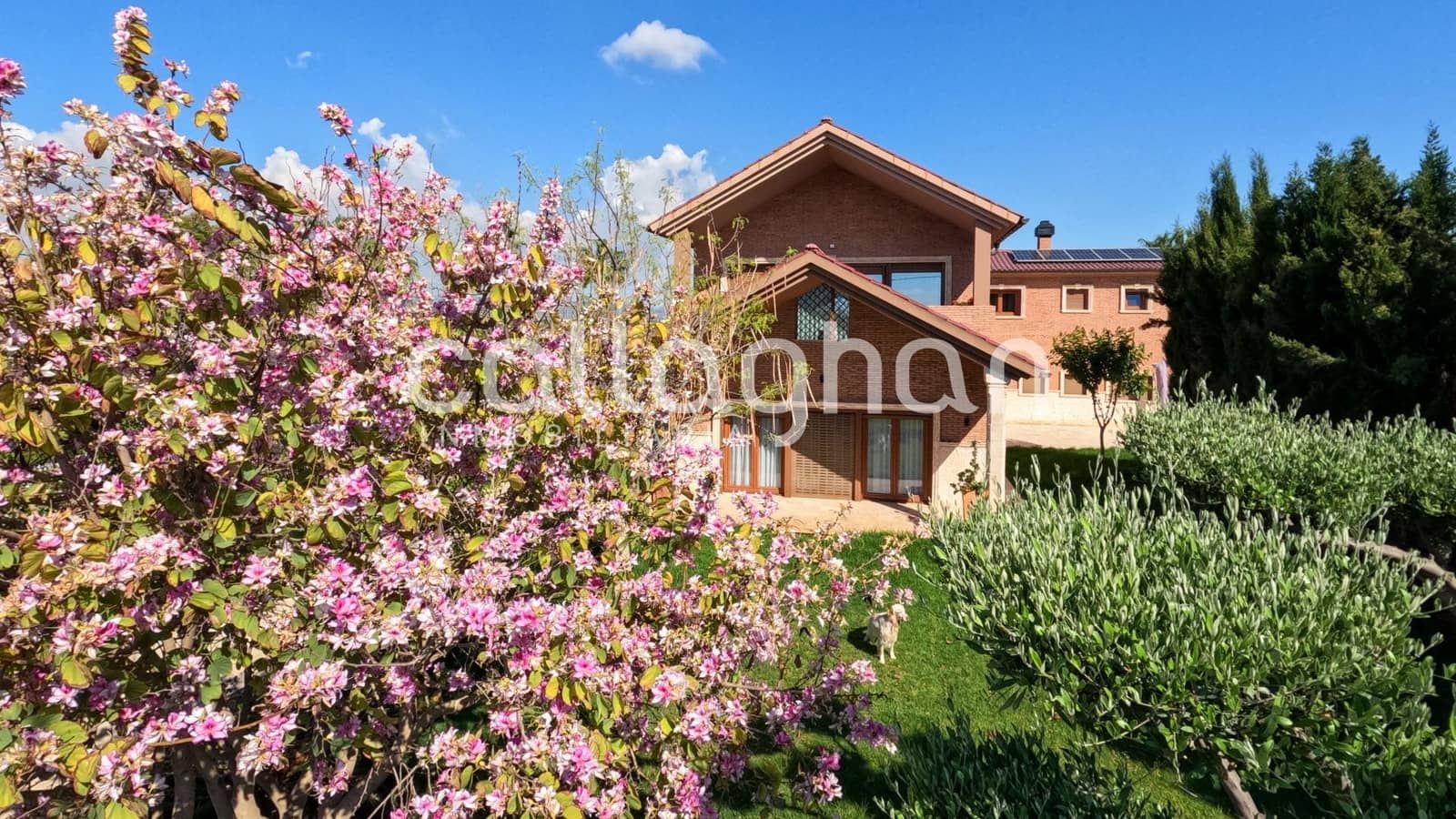 14 camera da letto Hotel in vendita in Burriana / Borriana con piscina garage - 1.800.000 € (Rif: 9557969)