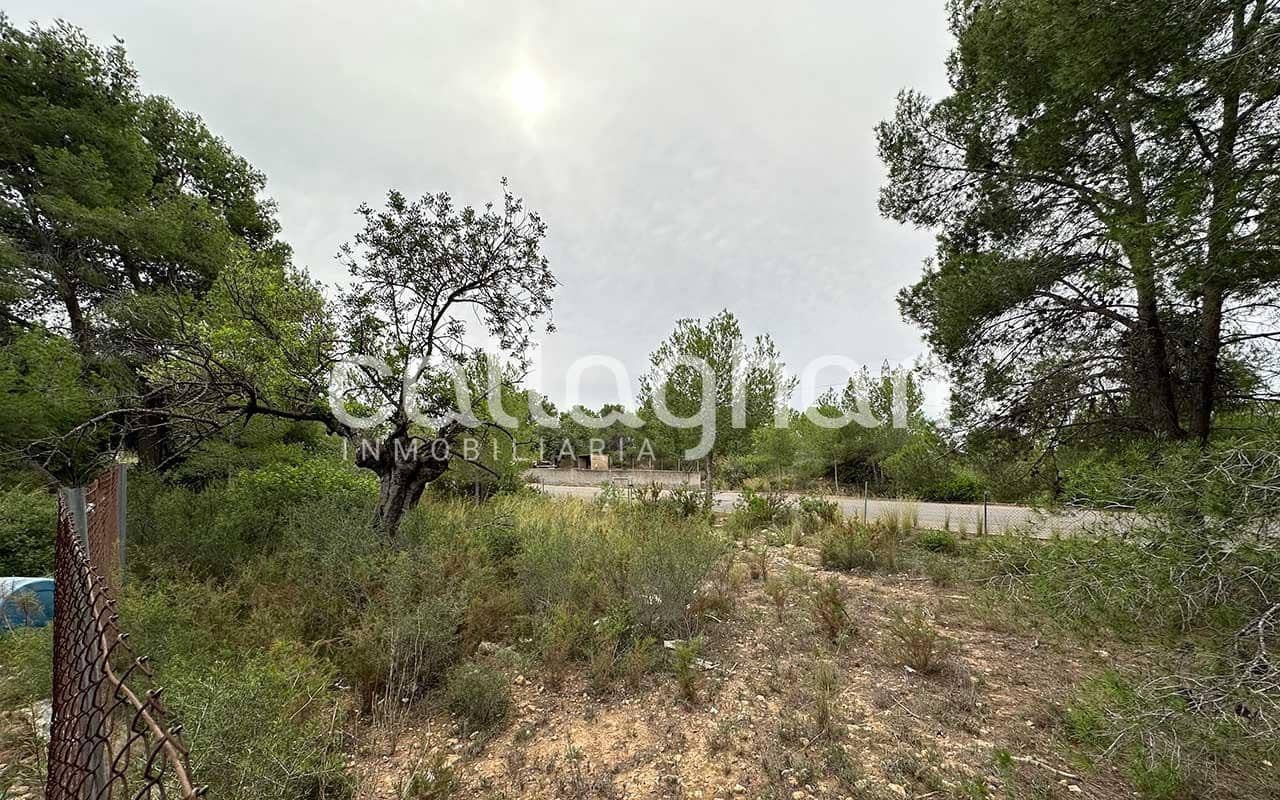 Building Plot for sale in San Antonio de Benageber - € 1,300,000 (Ref: 9557984)