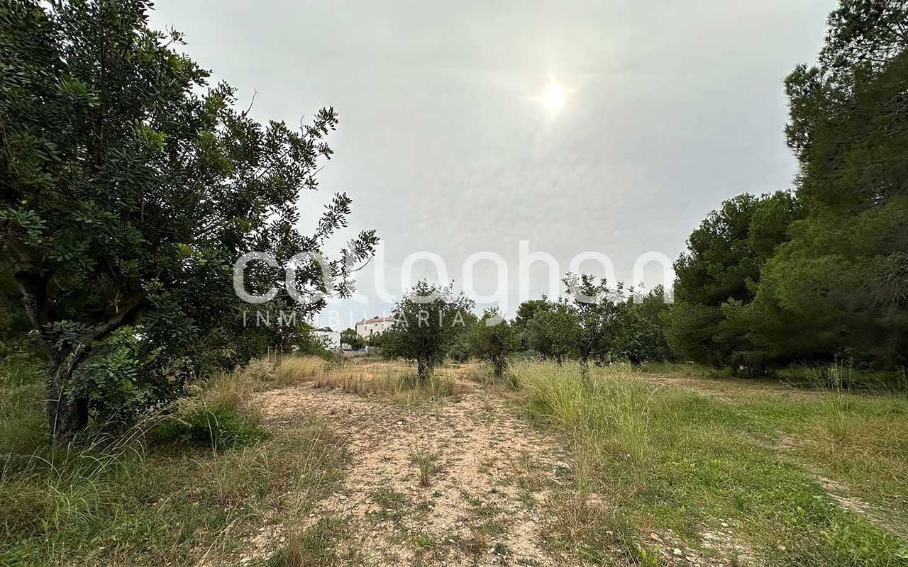 Building Plot for sale in San Antonio de Benageber - € 1,300,000 (Ref: 9557984)