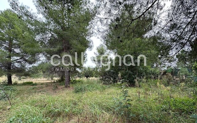 Building Plot for sale in San Antonio de Benagéber - € 1,300,000 (Ref: 9557984)