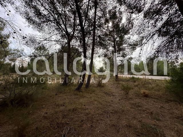 Terrain à Bâtir à vendre à San Antonio de Benagéber - 250 000 € (Ref: 9557985)