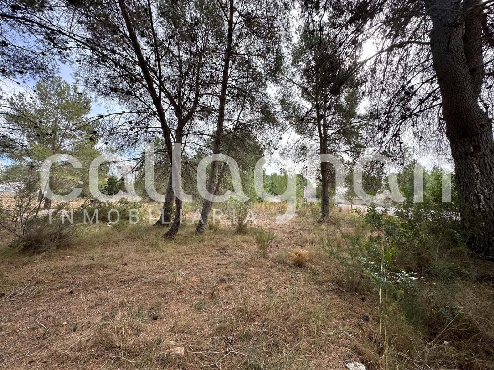 Terrain à Bâtir à vendre à San Antonio de Benageber - 250 000 € (Ref: 9557985)