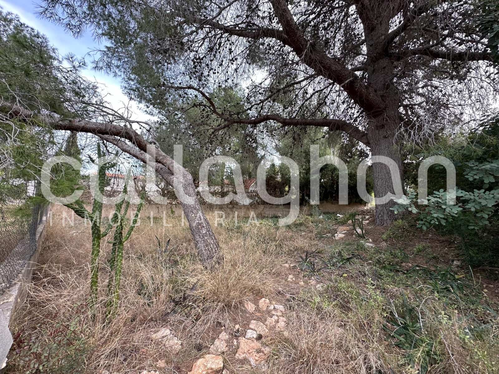 Terrain à Bâtir à vendre à San Antonio de Benageber - 250 000 € (Ref: 9557985)