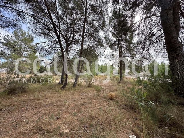 Terrain à Bâtir à vendre à San Antonio de Benagéber - 250 000 € (Ref: 9557985)