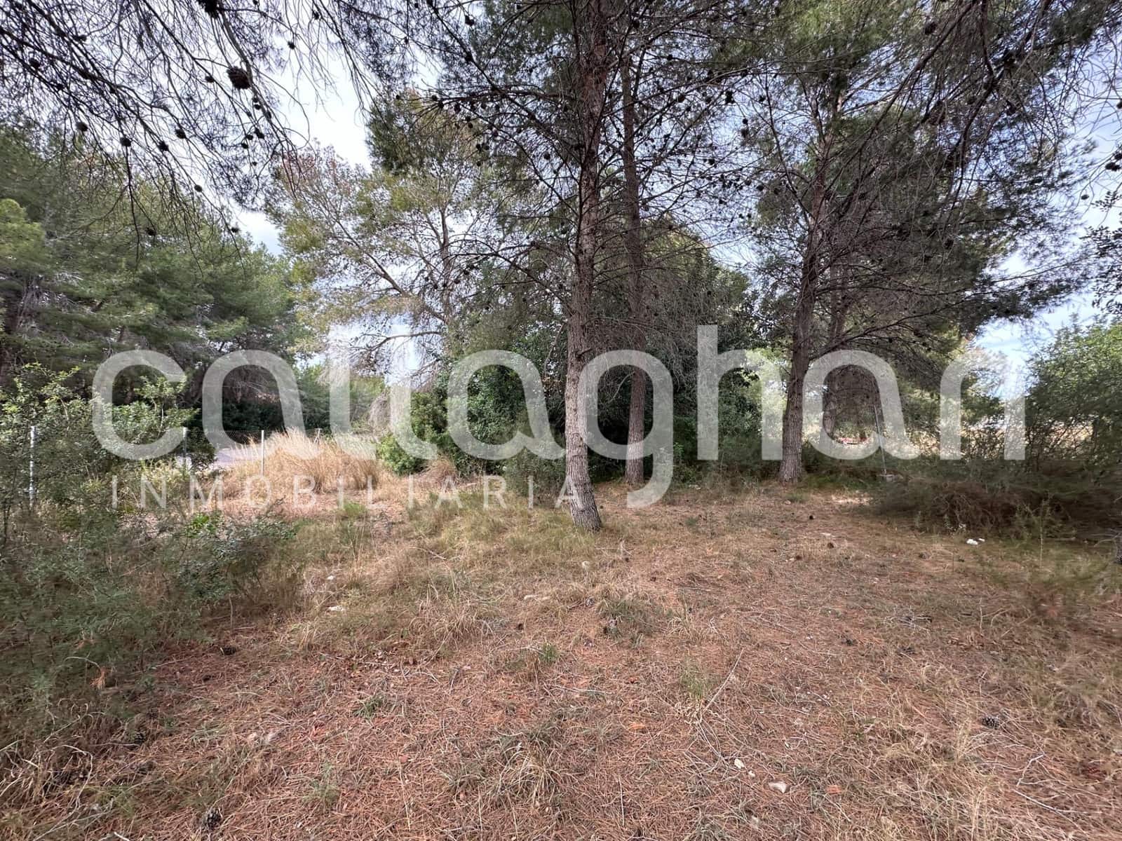 Terrain à Bâtir à vendre à San Antonio de Benageber - 250 000 € (Ref: 9557985)