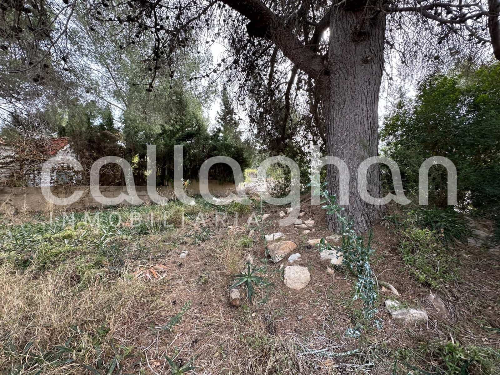 Terrain à Bâtir à vendre à San Antonio de Benageber - 250 000 € (Ref: 9557985)