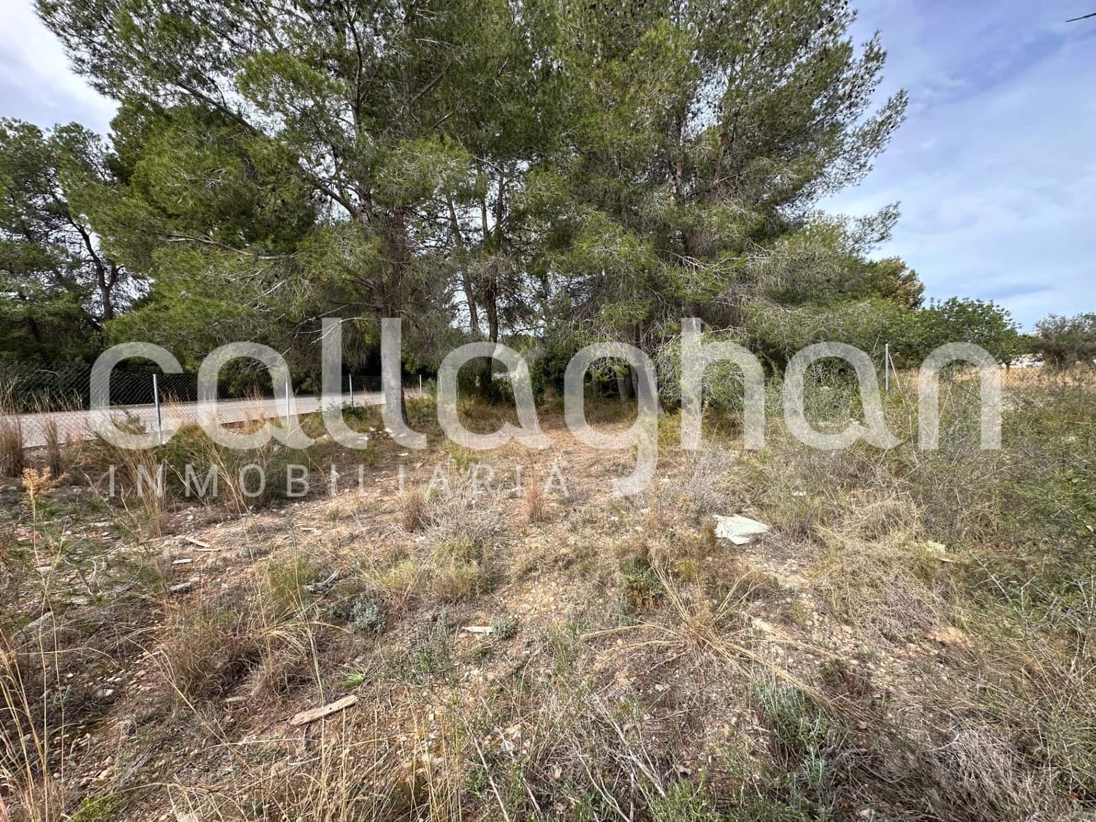 Terrain à Bâtir à vendre à San Antonio de Benageber - 250 000 € (Ref: 9557985)