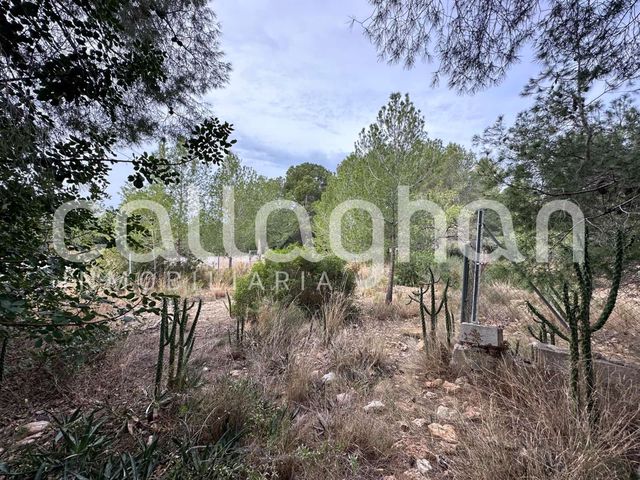 Terrain à Bâtir à vendre à San Antonio de Benagéber - 250 000 € (Ref: 9557985)
