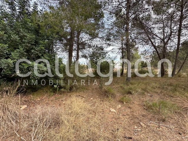 Terrain à Bâtir à vendre à San Antonio de Benagéber - 250 000 € (Ref: 9557985)