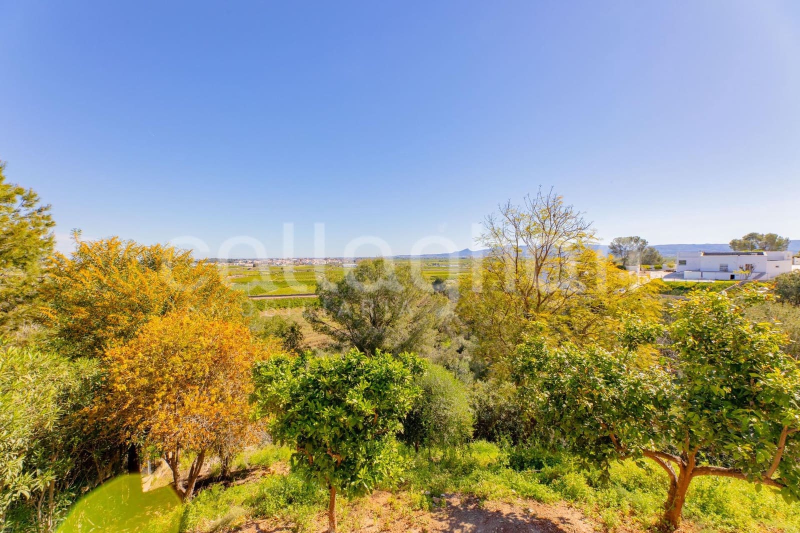 5 sypialnia Willa na sprzedaż w Alberic z basenem - 370 000 € (Ref: 9752261)