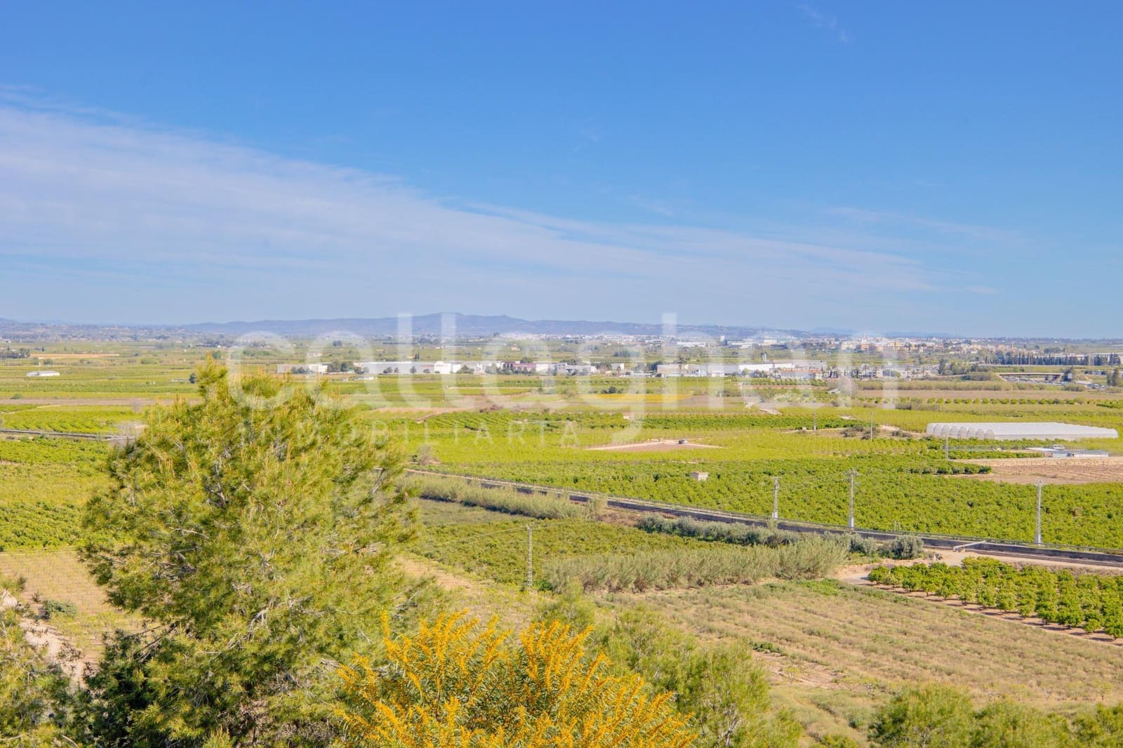 5 sypialnia Willa na sprzedaż w Alberic z basenem - 370 000 € (Ref: 9752261)