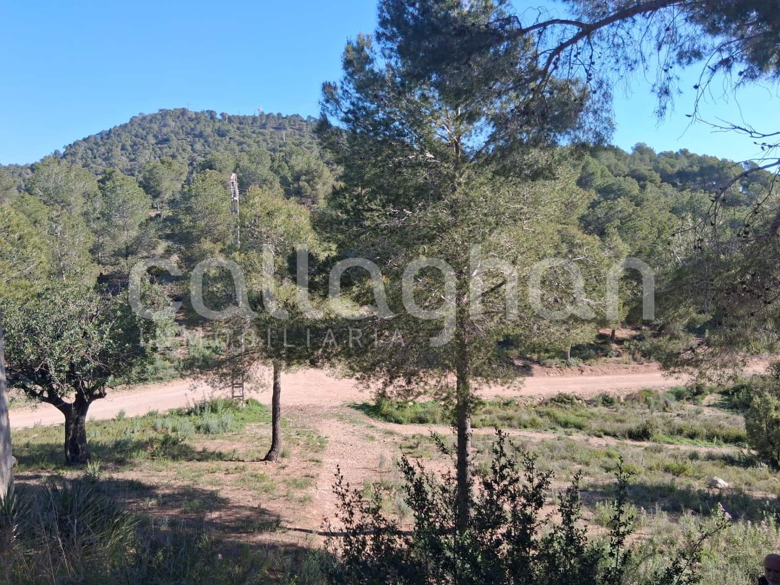 Byggetomt til salgs i Vilamarxant / Villamarchante - € 95 000 (Ref: 9762146)