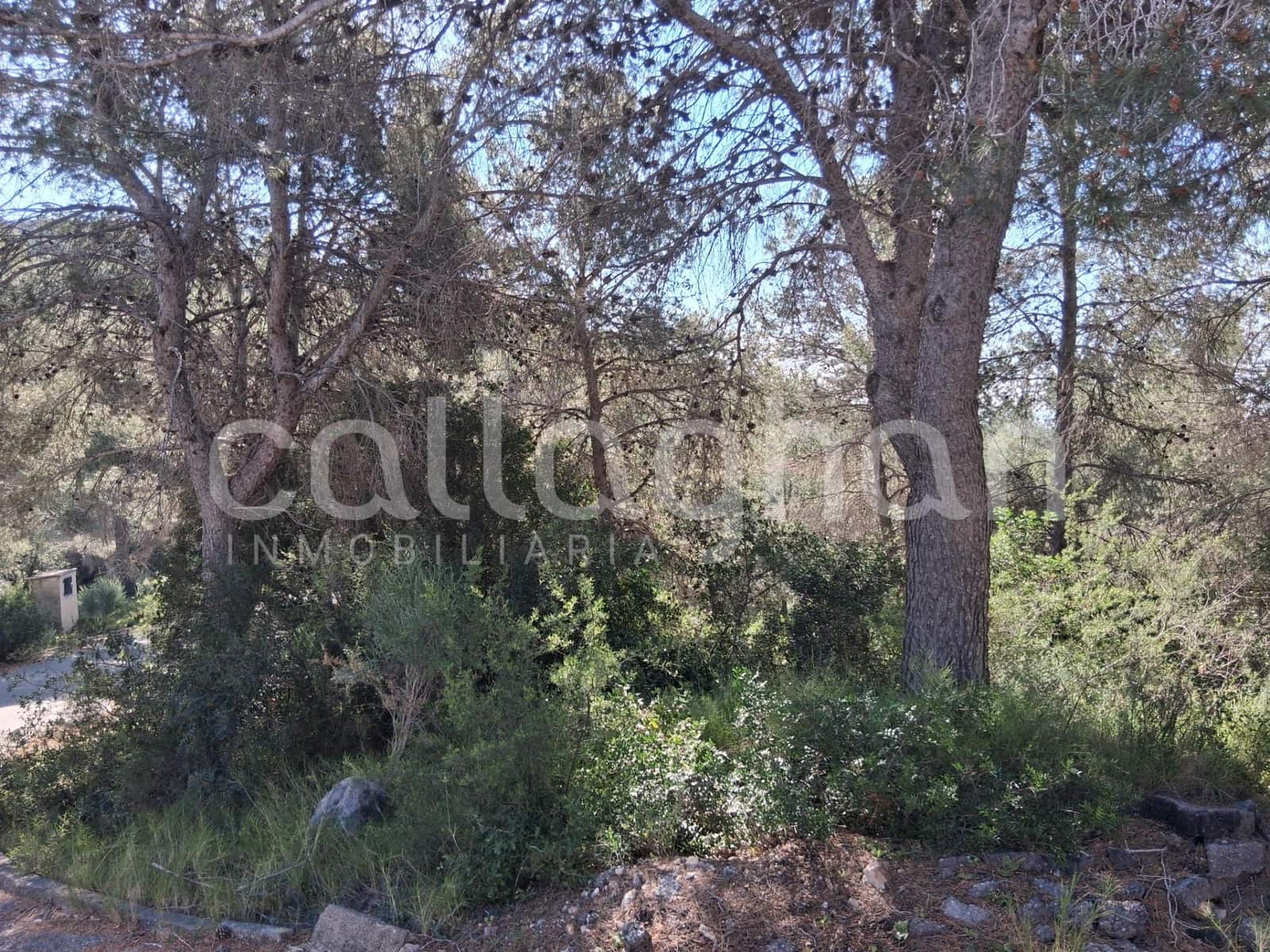 Byggetomt til salgs i Vilamarxant / Villamarchante - € 95 000 (Ref: 9762146)