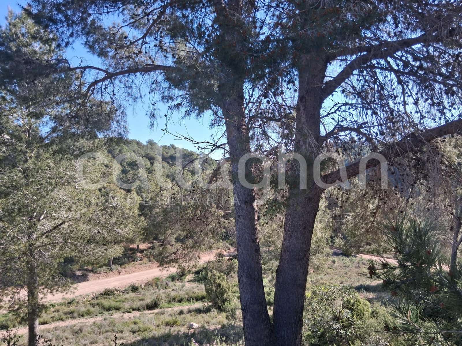 Byggetomt til salgs i Vilamarxant / Villamarchante - € 95 000 (Ref: 9762146)