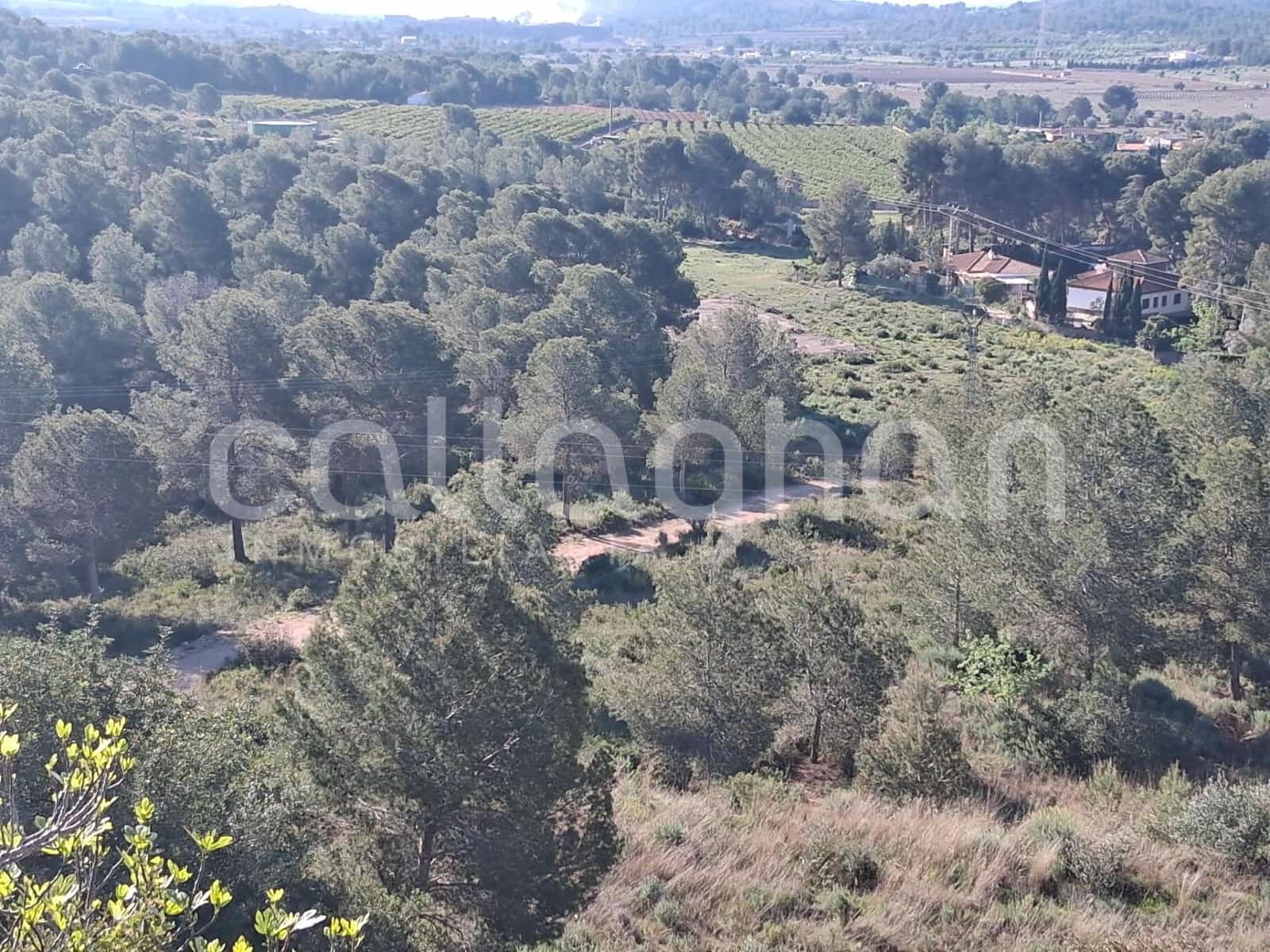 Działka budowlana na sprzedaż w Vilamarxant / Villamarchante - 95 000 € (Ref: 9762146)