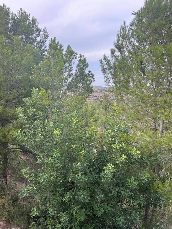 4 camera da letto Finca/Casa di Campagna in vendita in Montroy - 150.000 € (Rif: 8556206)