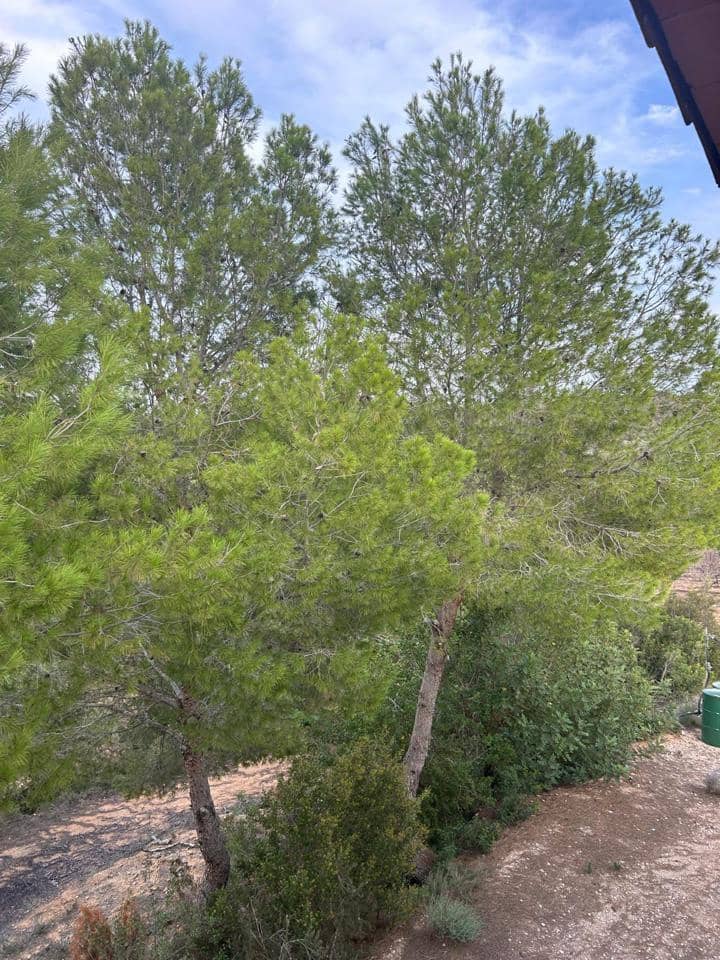 4 camera da letto Finca/Casa di Campagna in vendita in Montroy - 150.000 € (Rif: 8556206)