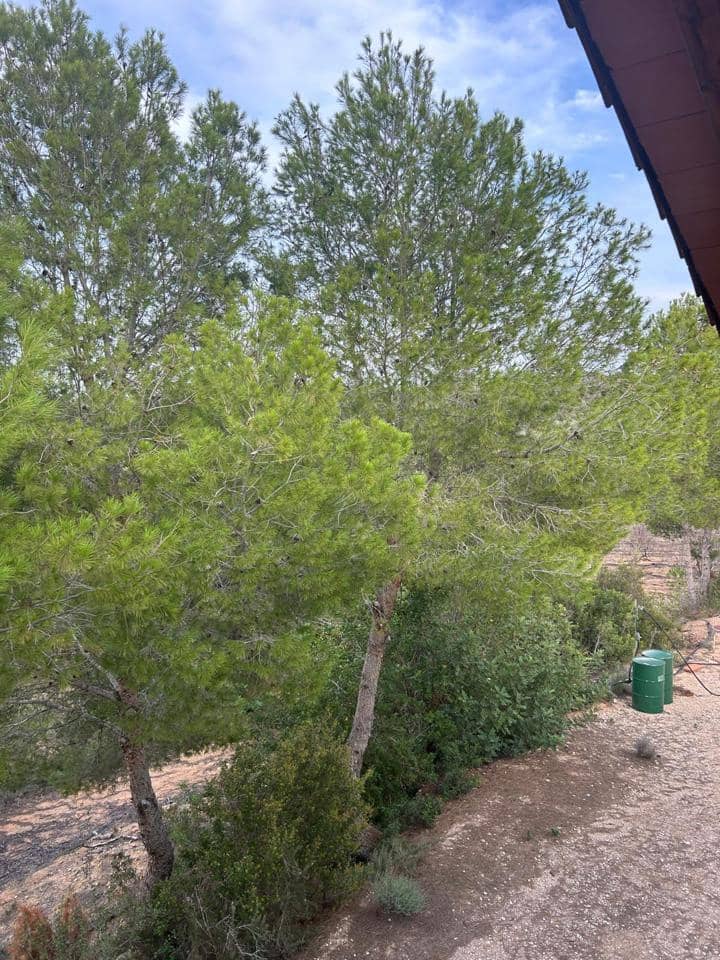 4 camera da letto Finca/Casa di Campagna in vendita in Montroy - 150.000 € (Rif: 8556206)