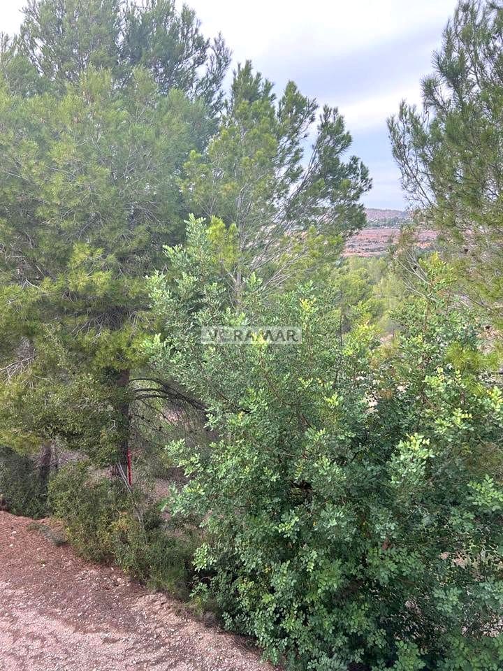 4 camera da letto Finca/Casa di Campagna in vendita in Montroy - 150.000 € (Rif: 8556206)