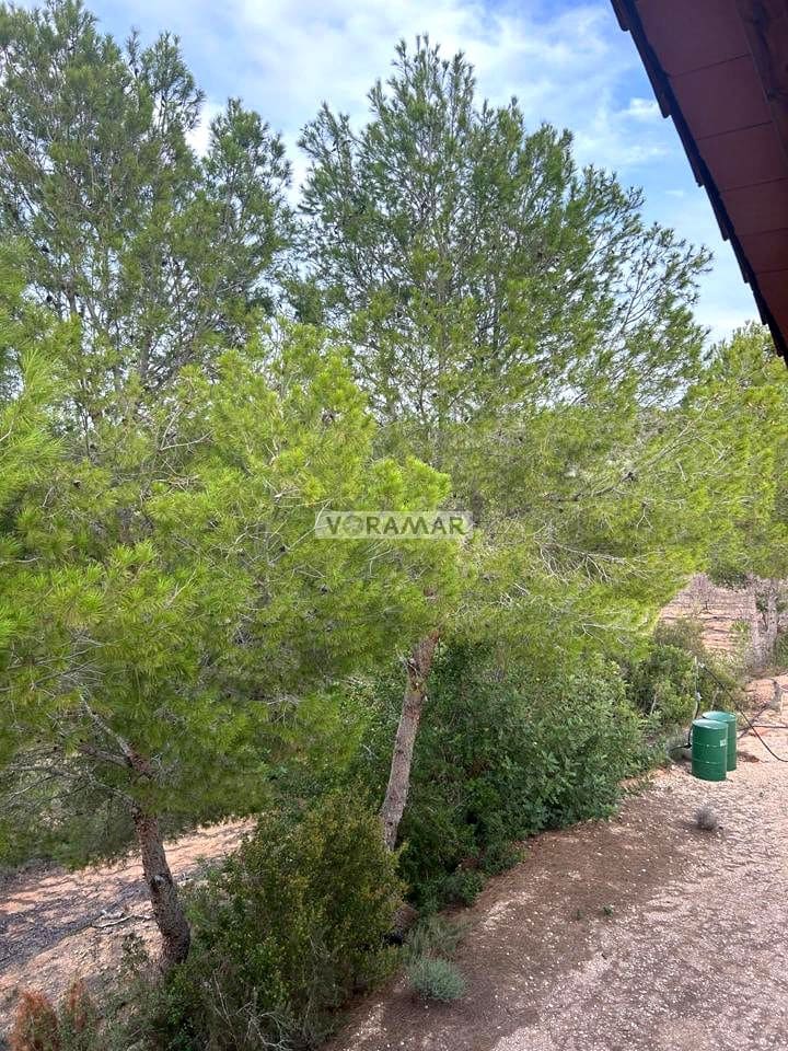 4 soverom Finca/Herregård til salgs i Montroy - € 150 000 (Ref: 8556206)