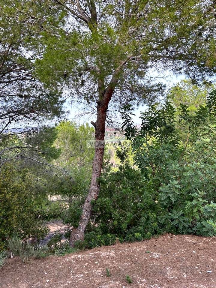 4 soverom Finca/Herregård til salgs i Montroy - € 150 000 (Ref: 8556206)