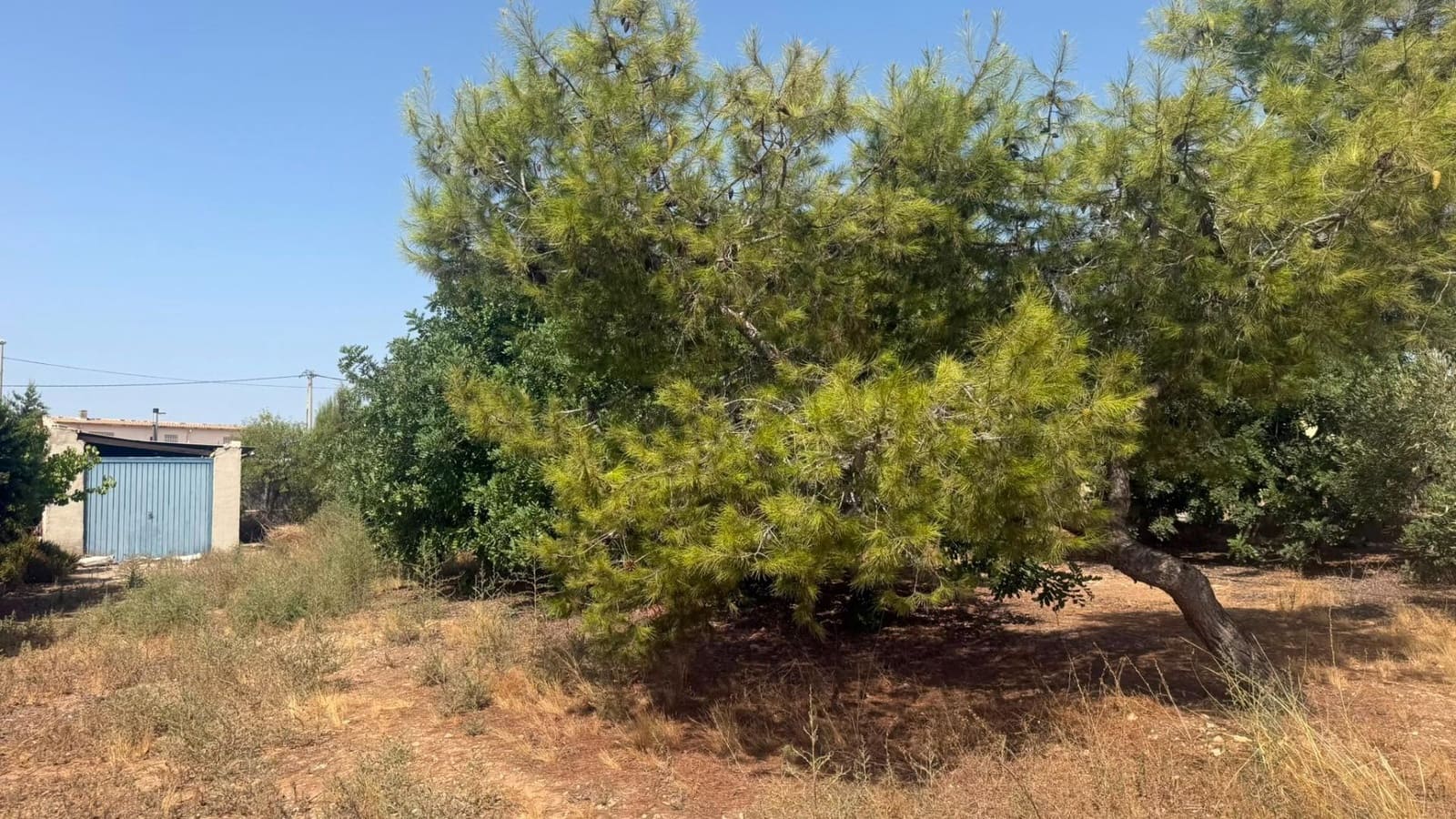 1 slaapkamer Finca/Landhuis te koop in Corvera - € 110.000 (Ref: 10035443)