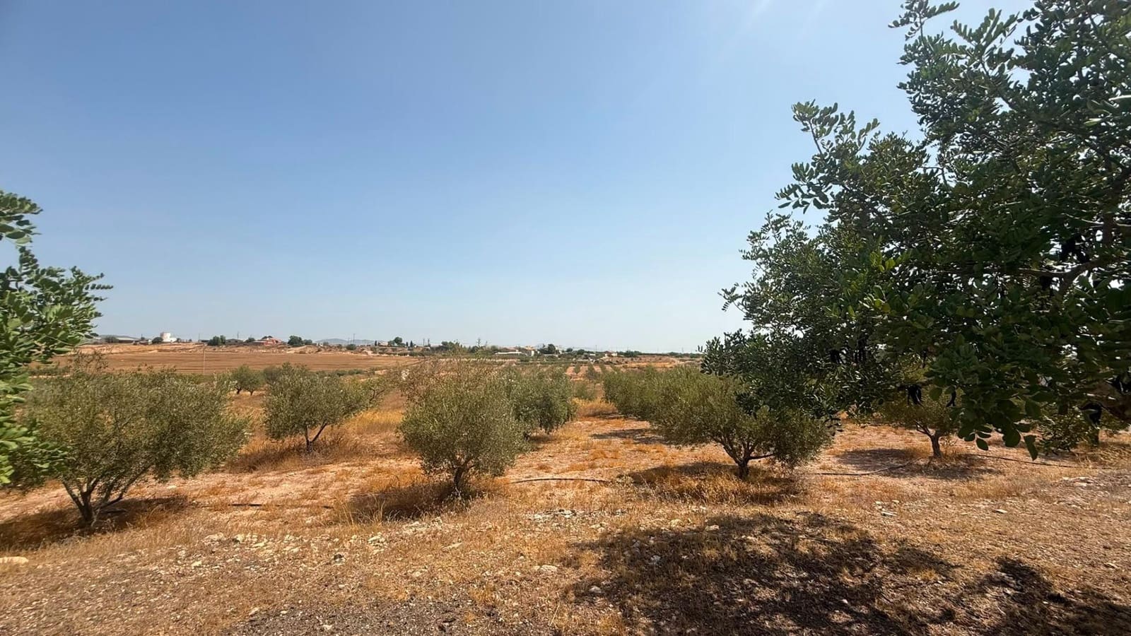 1 slaapkamer Finca/Landhuis te koop in Corvera - € 110.000 (Ref: 10035443)