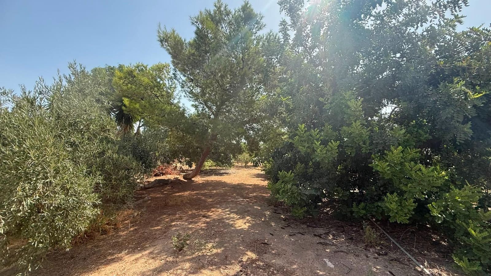 1 slaapkamer Finca/Landhuis te koop in Corvera - € 110.000 (Ref: 10035443)