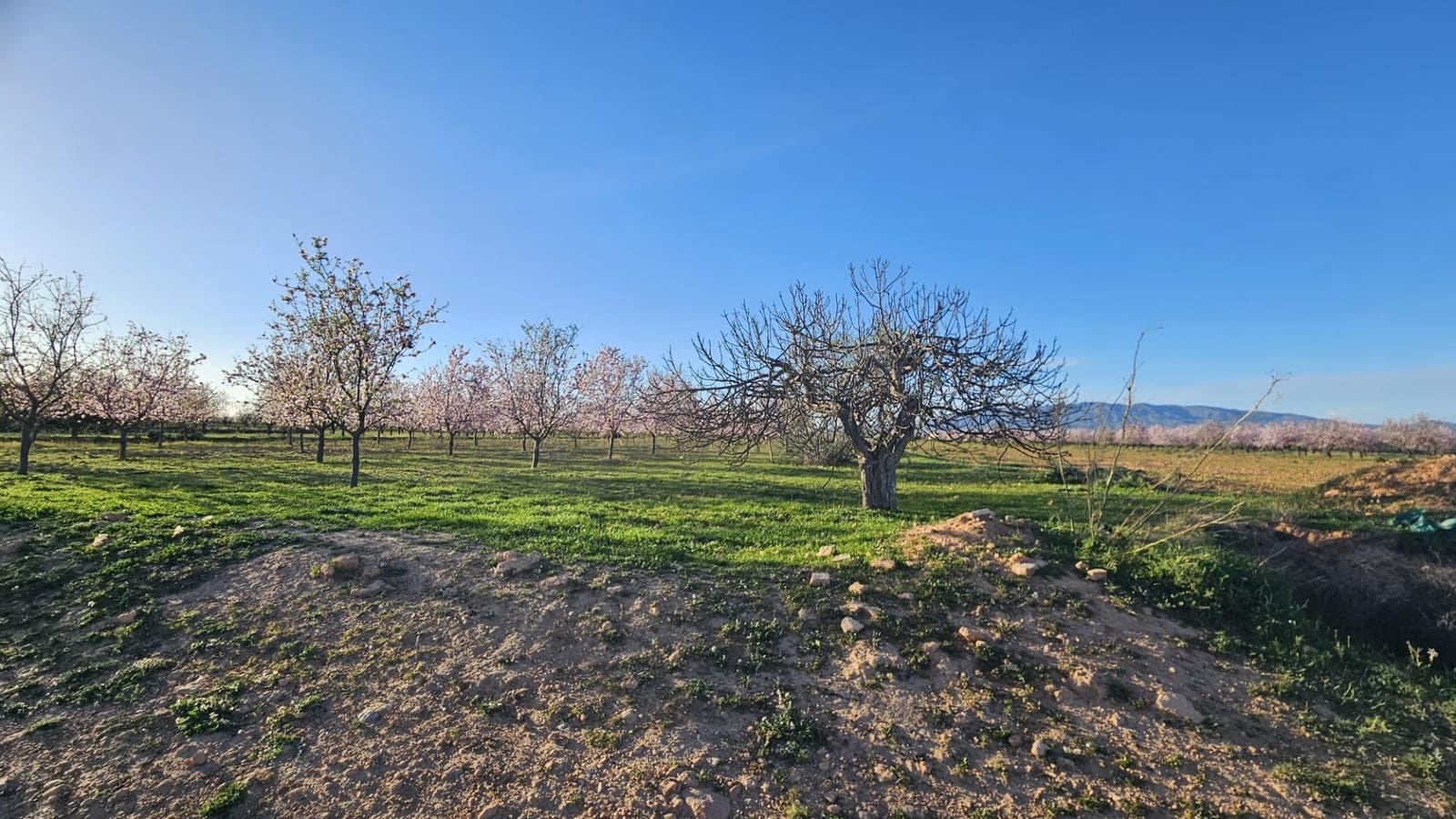 Grond te koop in La Pinilla - € 23.000 (Ref: 9659469)