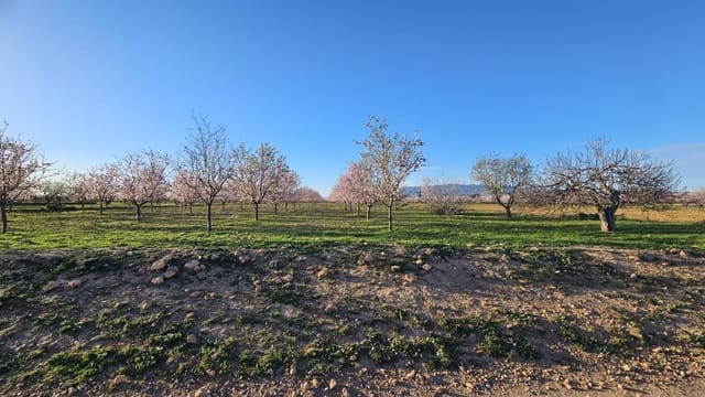 Grunde uden byggetilladelser til salg i La Pinilla, Fuente Alamo de Murcia - € 23.000 (Ref: 9659469)