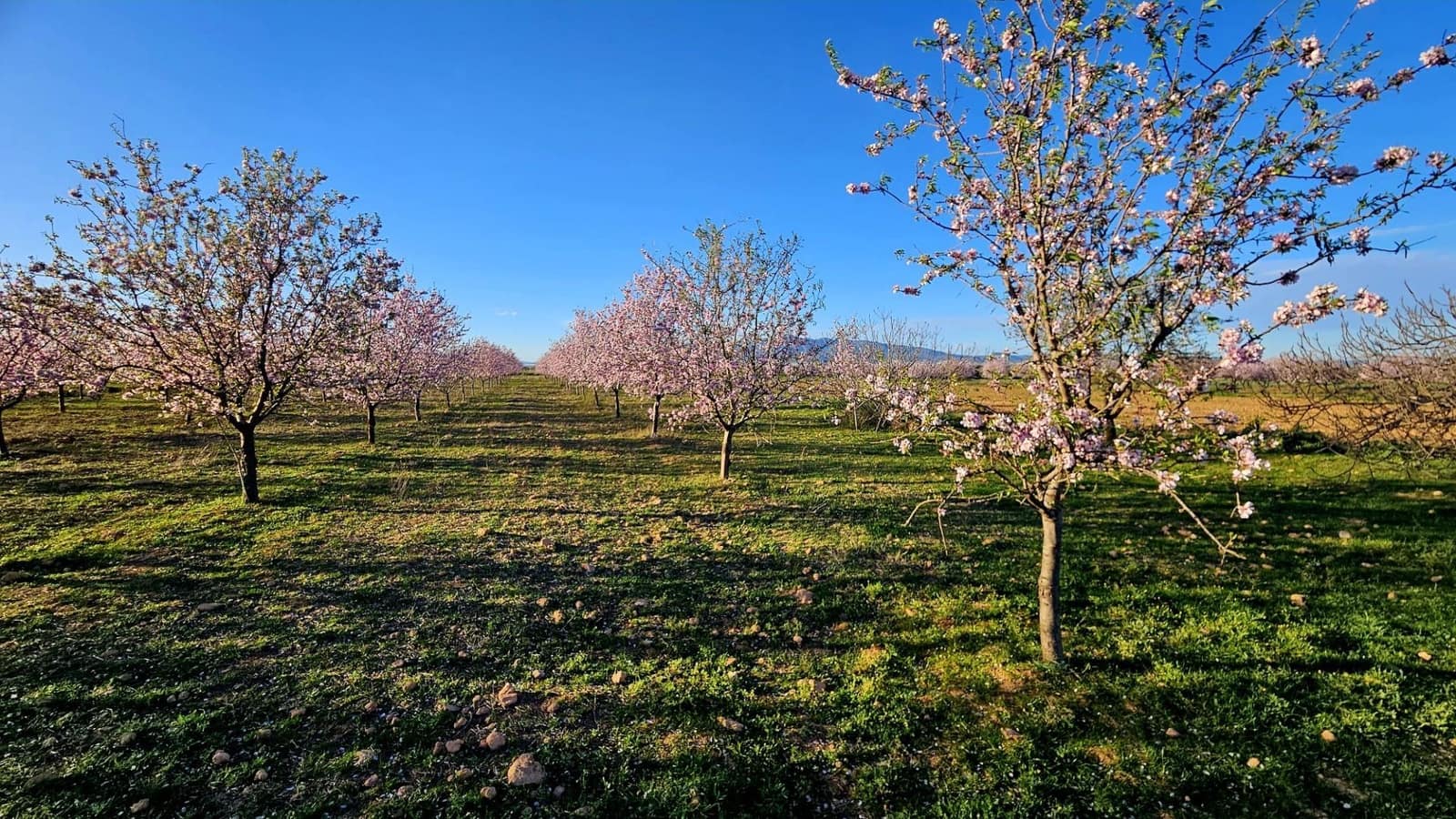 Grond te koop in La Pinilla - € 23.000 (Ref: 9659469)