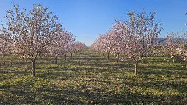 Grunde uden byggetilladelser til salg i La Pinilla, Fuente Alamo de Murcia - € 23.000 (Ref: 9659469)