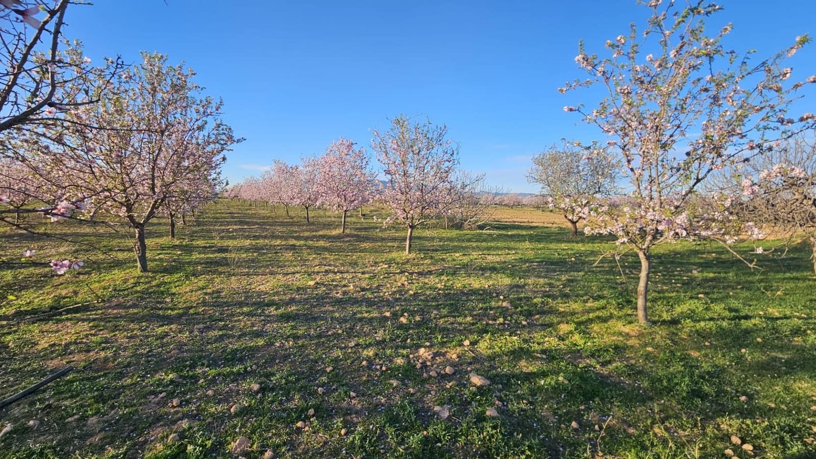 Grond te koop in La Pinilla - € 23.000 (Ref: 9659469)