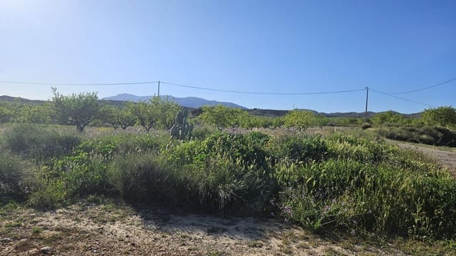 Rakentamaton maa myytävänä paikassa Corvera, Murcia kaupunki - 49 900 € (Ref: 9695377)