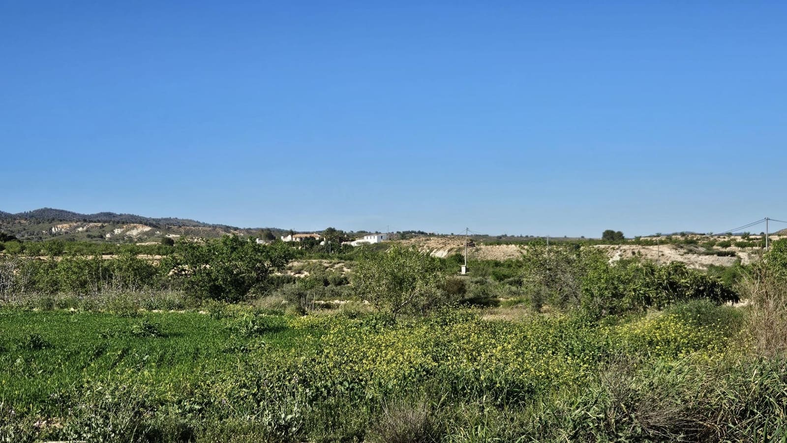 Undeveloped Land for sale in Corvera - € 49,900 (Ref: 9695377)