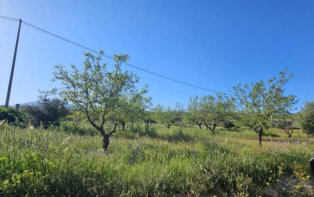 Ubebygd land til salgs i Corvera, Murcia by - € 49 900 (Ref: 9695377)