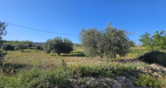 Ubebygd land til salgs i Corvera, Murcia by - € 49 900 (Ref: 9695377)