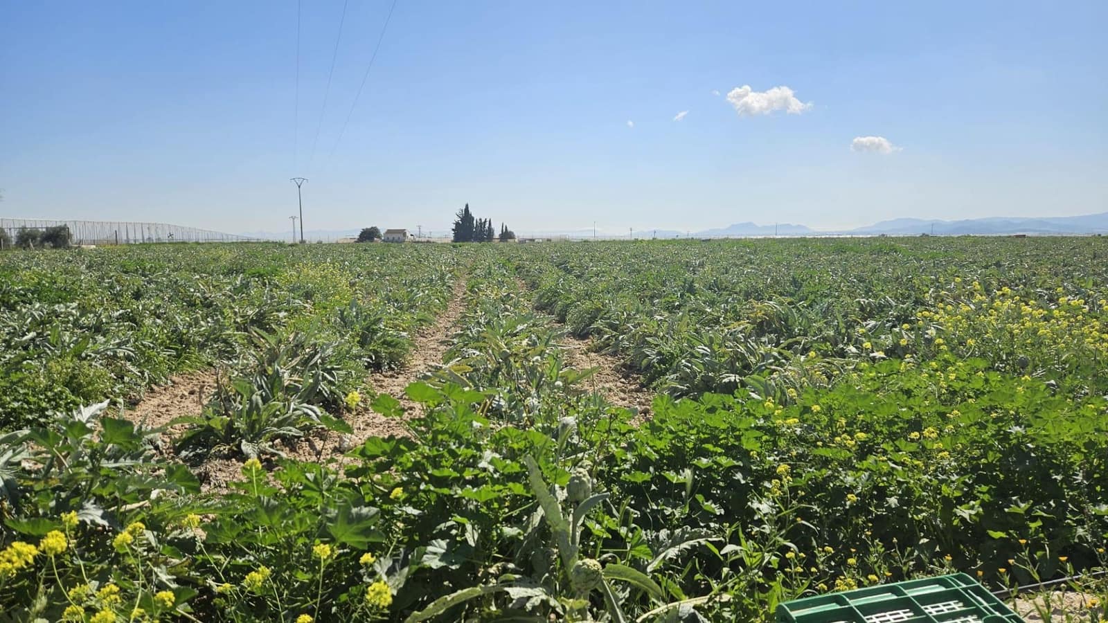Landgrundstück zu verkaufen in Murcia Stadt - 127.000 € (Ref: 9701662)