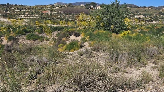 Rakentamaton maa myytävänä paikassa Corvera, Murcia kaupunki - 49 000 € (Ref: 9791079)