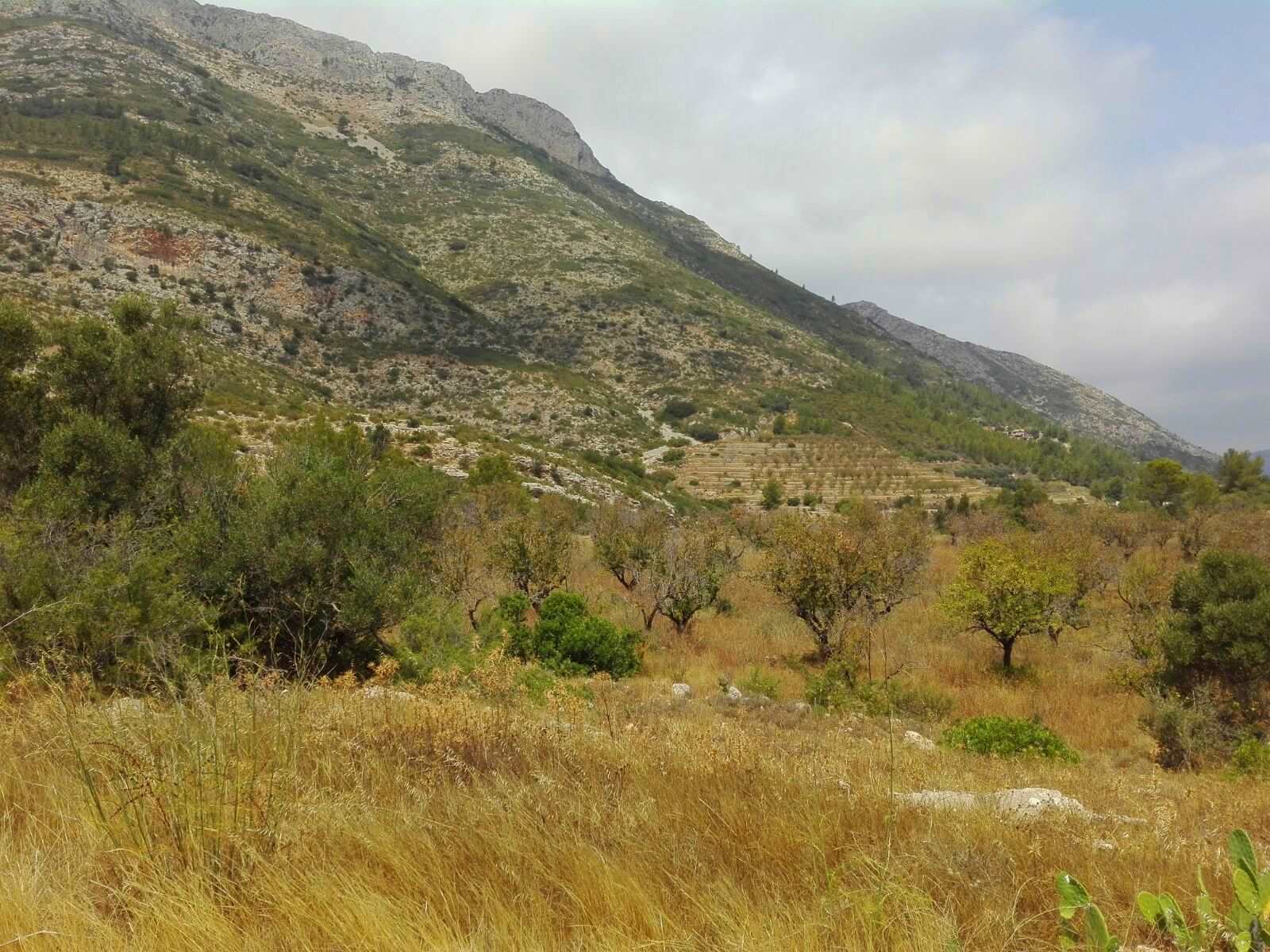 Building Plot for sale in Jalon / Xalo - € 199,900 (Ref: 3313763)