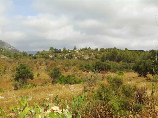 Tontti myytävänä paikassa Jalón / Xaló - 199 900 € (Ref: 3313763)